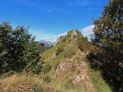 49 Cima del Monte Castello (1474 m)